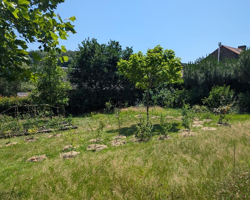 Milieux ligneux